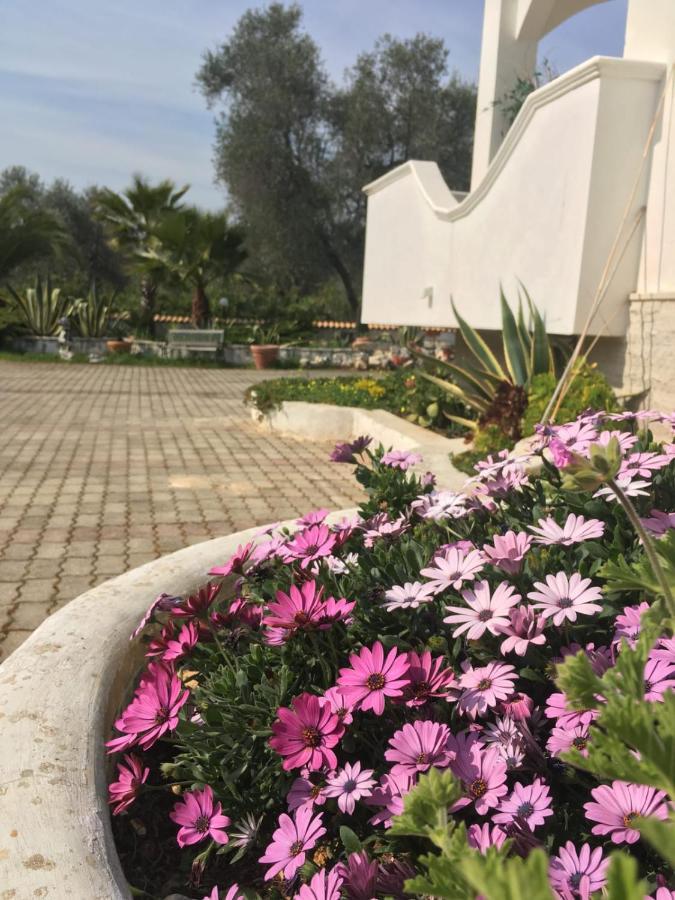 ויאסטה Villa Cristalda מראה חיצוני תמונה